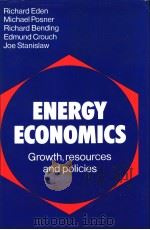 ENERGY ECONOMICS     PDF电子版封面  0521236851   
