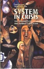 SYSTEM IN CRISIS PDF电子版封面 1552661156