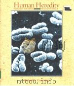 Human Heredity PDF电子版封面 0314773029