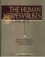 THE HUMAN HERPESVIRUSES PDF电子版封面 0781700248