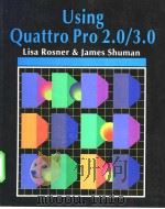 Using Quattro Pro 2.0/3.0 PDF电子版封面 0070575886