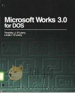 Microsoft Works 3.0 for DOS PDF电子版封面 0070489882