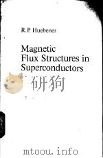 Magnetic Flux Structures in Superconductors PDF电子版封面