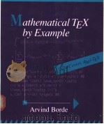 Mathematical TEX by Example PDF电子版封面 0121176452
