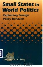 Small States in World Politics Explaining Foreign Policy Behavior PDF电子版封面 1555879438 Jeanne A.K.Hey