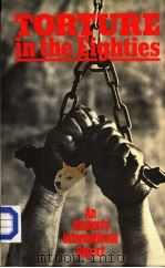TORTURE IN THE EIGHTIES 1984 PDF电子版封面 0855207817