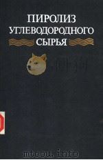 пиролиз углЕводородного сыръя PDF电子版封面