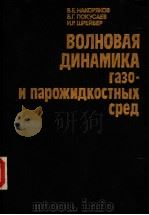 ВОЛНОВАЯ　ПИНАМИКА　　газо-и　парожижидкостных　сред（ PDF版）