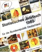 STATISTISCHES JAHRBUCH 1989 FUR DIE BUNDESREPUBLIK DEUTSCHLAND PDF电子版封面
