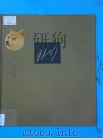 ERNST BURGER FRANZ LISZT EINE LEBENSCHRONIK IN BILDERN UND DOKUMENTEN VORWORT ALFRED BRENDEL   1986  PDF电子版封面  3417771603   