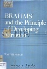BRAHMS and the Principle of Developing Variation PDF电子版封面 0520047001 Walter Frisch