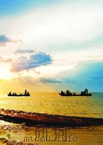 PIANO TUNING REGULATING AND PREPAIRING     PDF电子版封面    J.CREE FISCHER 