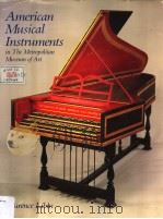 AMERICAN MUSICAL INSTRUMENTS IN THE METROPOLITAN MUSEUM OF ART PDF电子版封面 0393022773