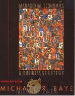 MANAGERIAL ECONOMICS BUSINESS STRATEGY PDF电子版封面 0072358386