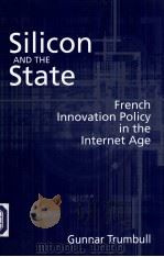 SILICON AND THE STATE PDF电子版封面 0815785968