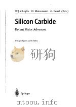 SILICON CARBIDE PDF电子版封面 3540404589 W.J.CHOYKE H.MATSUNAMI G.PEN