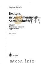 EXCITONS IN LOW-DIMENSIONAL SEMICONDUCTORS PDF电子版封面 3540202404 STEPHAN GULTSCH