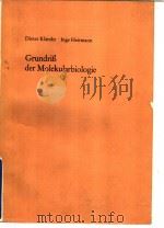 Dieter Klǎmabt·Inge Heitmann Grundriβ der Molekularbiologie PDF电子版封面