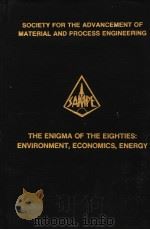 THE ENIGMA OF THE GIGHTIES:ENVIRONMENT  VOLUME 24 BOOK 1     PDF电子版封面     