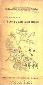 DIE ANZUCHT DER ROSE PDF电子版封面