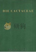DIE CACTACEAE HANDBUCH DER KAKTEENKUNDE BAND Ⅱ PDF电子版封面