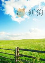 DIE GASVERMESSUNG PDF电子版封面