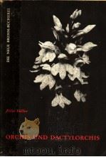 DIE GATTUNGEN ORCHIS UND DACTYLORCHIS     PDF电子版封面     