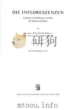 DIE INFLORESZENZEN PDF电子版封面