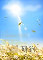 DIE PFLANZENWELT BRANDENBURGS     PDF电子版封面    MULLER STOLL 