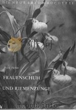 FRAUENSCHUH UND RIEMENZUNGE     PDF电子版封面    FRITZ FULLER 