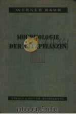 MORPHOLOGIE DERNUTZPFLANZEN PDF电子版封面 WERNER RAUH