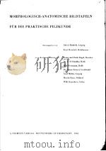 MORPHOLOGISCH-ANATOMISCHE BILDTAFELN FUR DIE PRAKTISCHE PILZKUNDE 1.LIEFERUNG BLATT1-16     PDF电子版封面     
