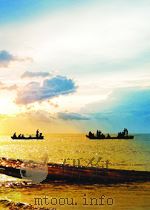 PRIRUCKA PRO DREVOPRUMYSL     PDF电子版封面     