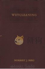 WETCLEANING PDF电子版封面 NORBERT J.BERG