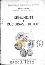 SEMUNDJET E KULTURAVE FRUTORE PDF电子版封面 BURHAN CELO