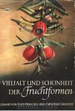 VIELFALT UND SCHONHEIT DER FRUCHTFORMEN PDF电子版封面 KURT HERSCHEL
