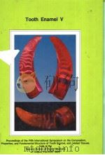 TOOTH ENAMEL V 1989 PDF电子版封面 4990003705 R.W.FEARNHEAD