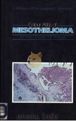 MESOTHELIOMA     PDF电子版封面    C·LUND 