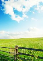 THE WHOLESALE MARKETS IN NEW YORK AND ITS ENVIRONS PRESENT TRENDS AND PROBABLE FUTURE DEVELOPMENTS（ PDF版）