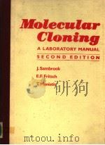 MOLECULAR CLONING  A LABORATORY MANUAL SECOND EDITION  3（1989 PDF版）