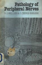 PATHOLOGY OF PERIPHERAL NERVES 1977 PDF电子版封面