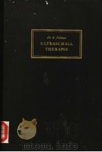 DIE ULTR ASCHALLTHERAPIE     PDF电子版封面     
