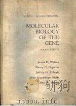 MOLECULAR BIOLOGY OF THE GENE；V.1 SPECIALIZED ASPECTS     PDF电子版封面    JAMES D.WATSON 