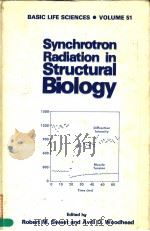 SYNCHROTRON RADIATION IN STRUCTURAL BIOLOGY PDF电子版封面 0306432560 ROBERT M.SWEET AND AVRIL D.WOO