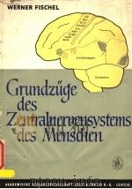 GRUNDZUGE DES ZENTRALNERVENSYSTEMS DES MENSCHEN PDF电子版封面