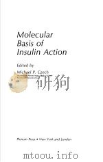 MOLECULAR BASIS OF INSULIN ACTION PDF电子版封面 0306418436 MICHAEL P.CZECH