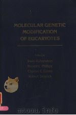 MOLECULAR GENETIC MODIFICATION OF EUCARYOTES PDF电子版封面 0126011508 IRWIN RUBENSTEIN RONALD L.PHI