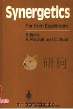 SYNERGETICS PDF电子版封面 0387093044 A.PACAULT AND D.VIDAL