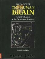 THE HUMAN BRAIN AN INTRODUCTION TO ITS FUNCTIONAL ANATOMY     PDF电子版封面  0801674832  JOHN NOLTE 