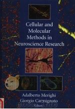 CELLULAR AND MOLECULAR METHODS IN NEUROSCIENCE RESEARCH     PDF电子版封面  0387953868  A.CLAUDIO CUELLO 